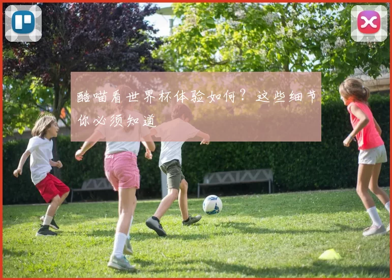 酷喵看世界杯体验如何?这些细节你必须知道