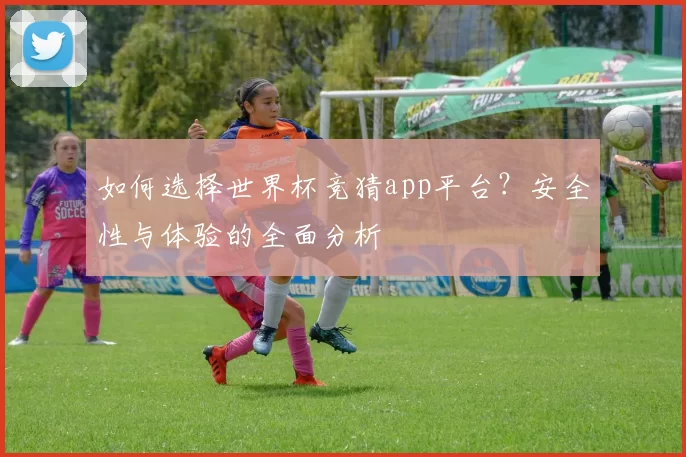 如何选择世界杯竞猜app平台？安全性与体验的全面分析