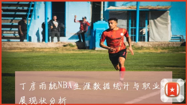 丁彦雨航NBA生涯数据统计与职业发展现状分析