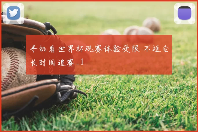 手机看世界杯观赛体验受限 不适合长时间追赛_1