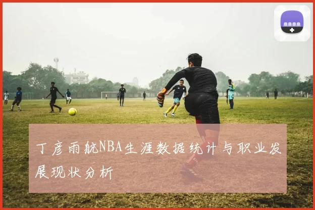 丁彦雨航NBA生涯数据统计与职业发展现状分析