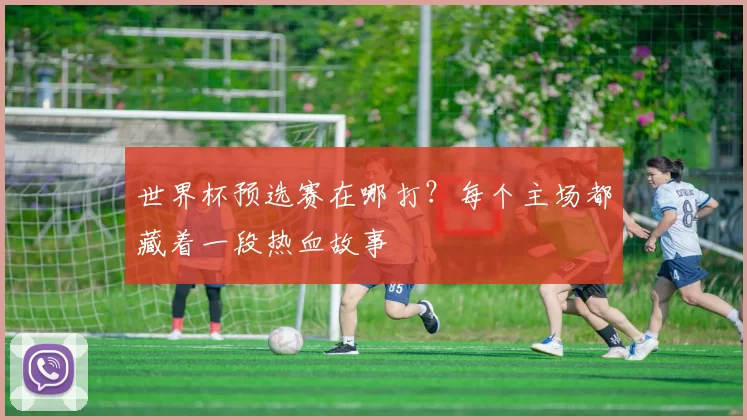 世界杯预选赛在哪打？每个主场都藏着一段热血故事
