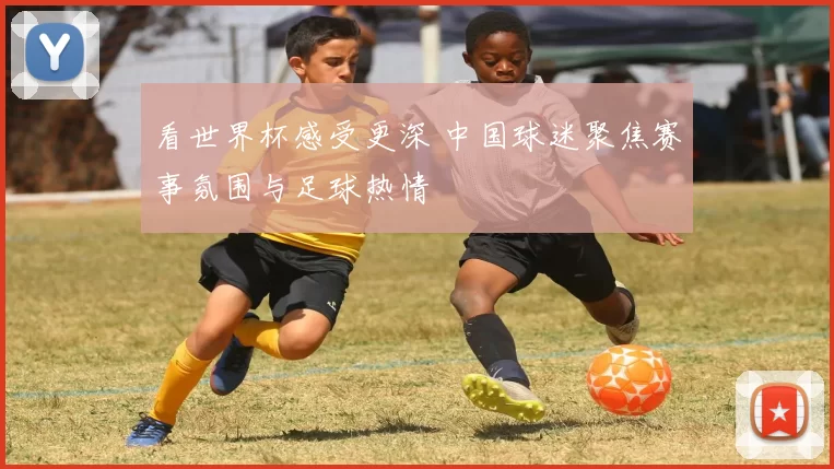 看世界杯感受更深 中国球迷聚焦赛事氛围与足球热情