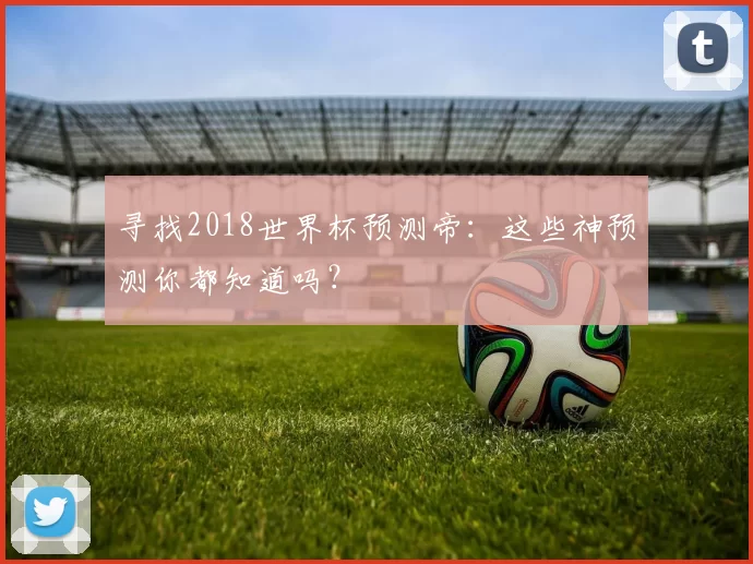 寻找2018世界杯预测帝:这些神预测你都知道吗?