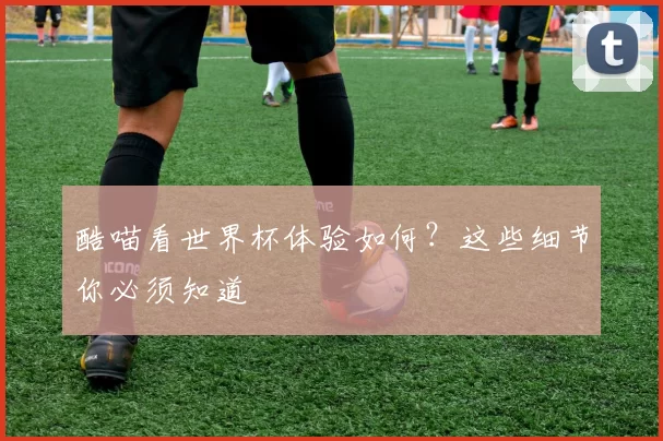 酷喵看世界杯体验如何?这些细节你必须知道