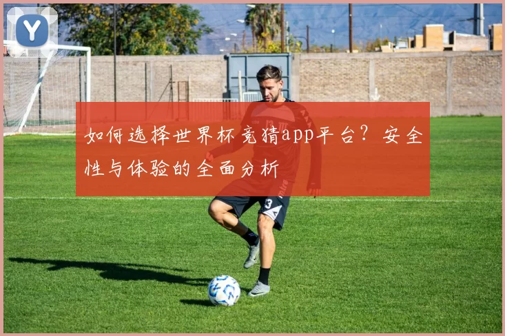 如何选择世界杯竞猜app平台？安全性与体验的全面分析